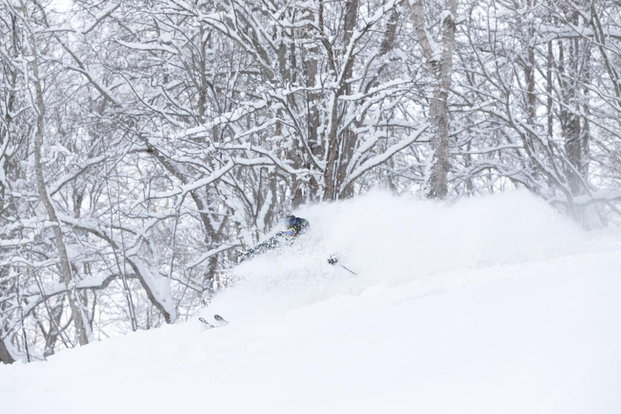 Niseko Highland Cottages المظهر الخارجي الصورة