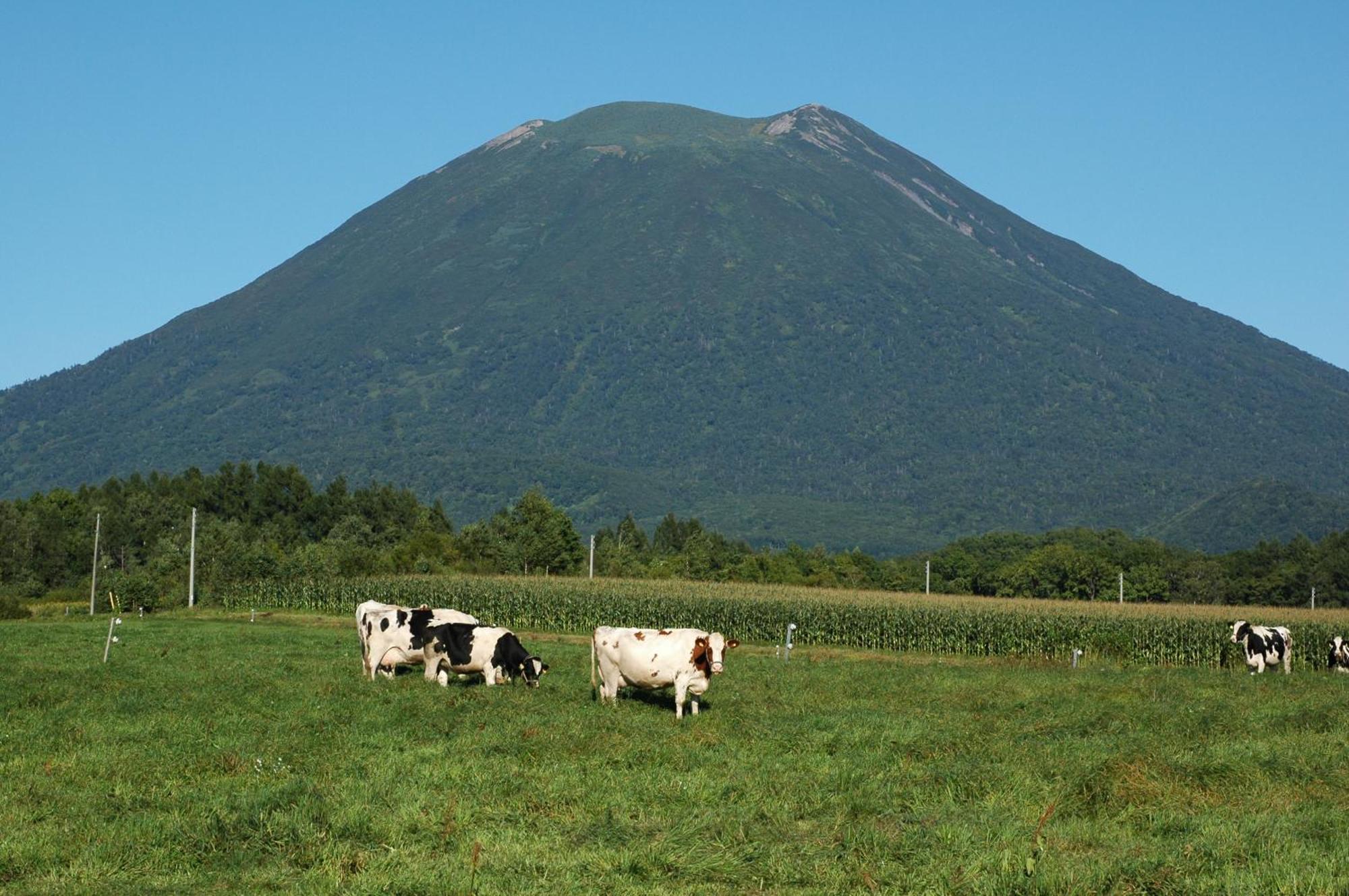 Niseko Highland Cottages المظهر الخارجي الصورة