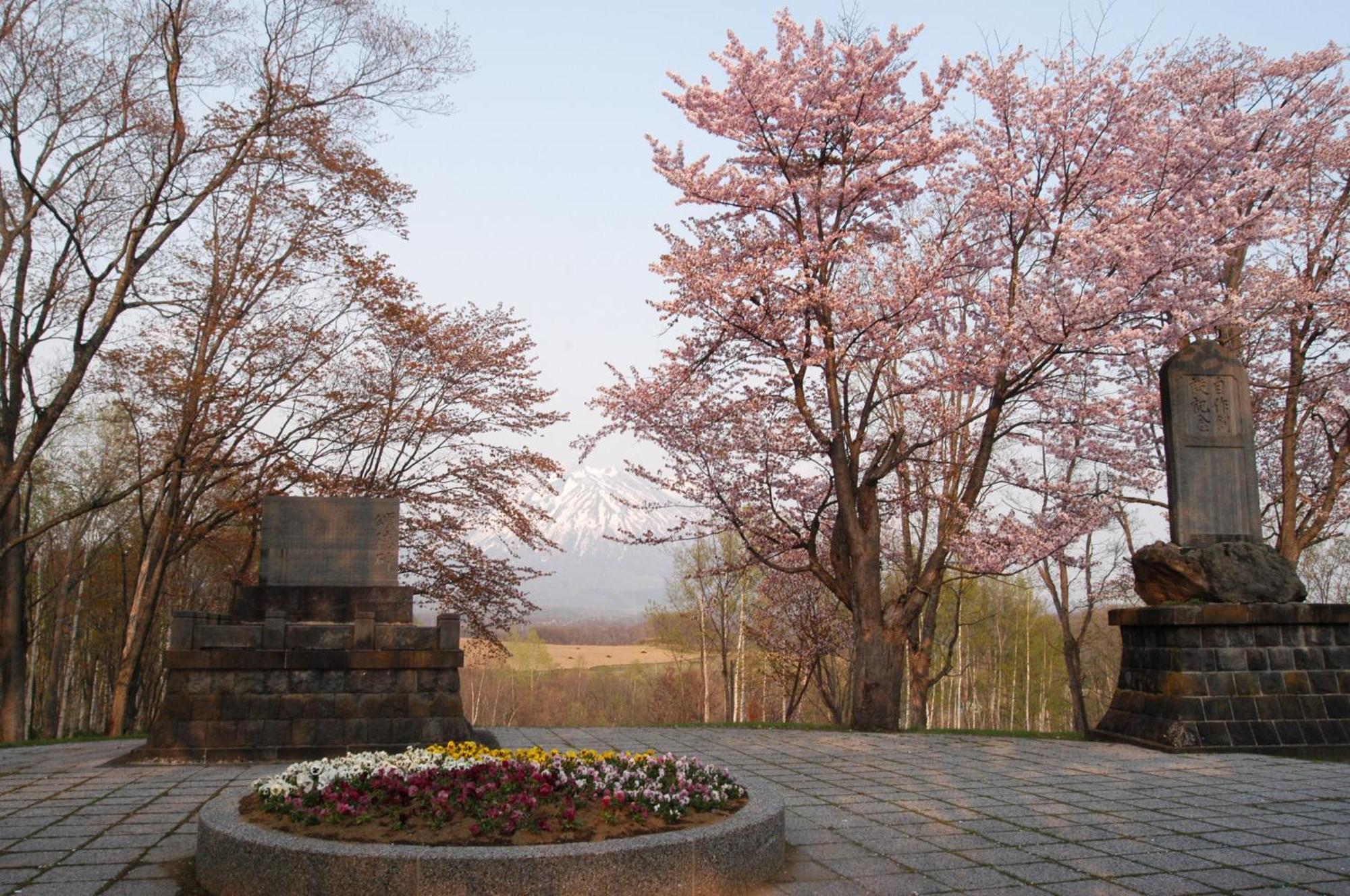 Niseko Highland Cottages المظهر الخارجي الصورة