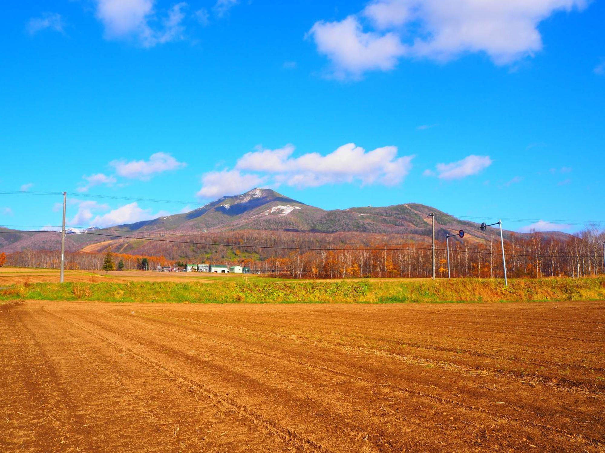 Niseko Highland Cottages المظهر الخارجي الصورة